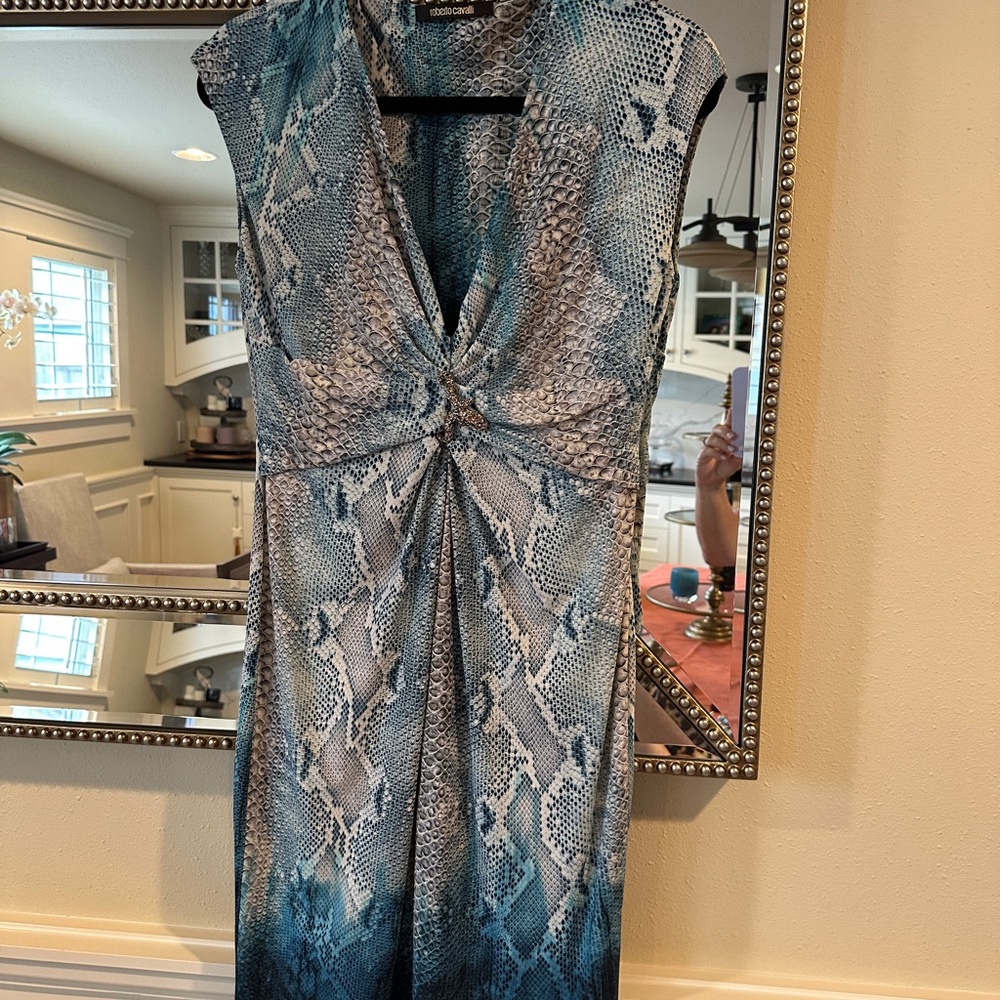 Roberto Cavalli Dress